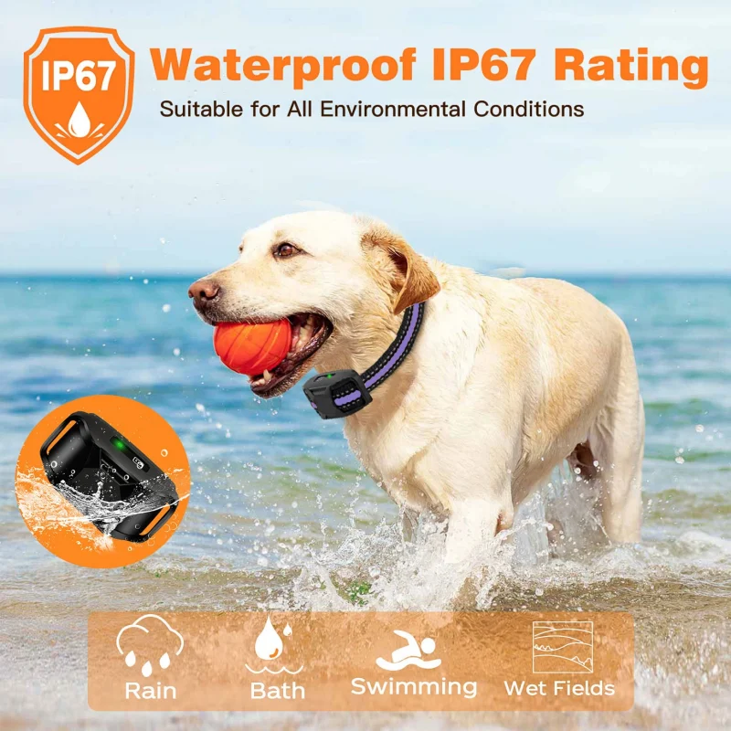 Dog Shock Training Collar - Image 6
