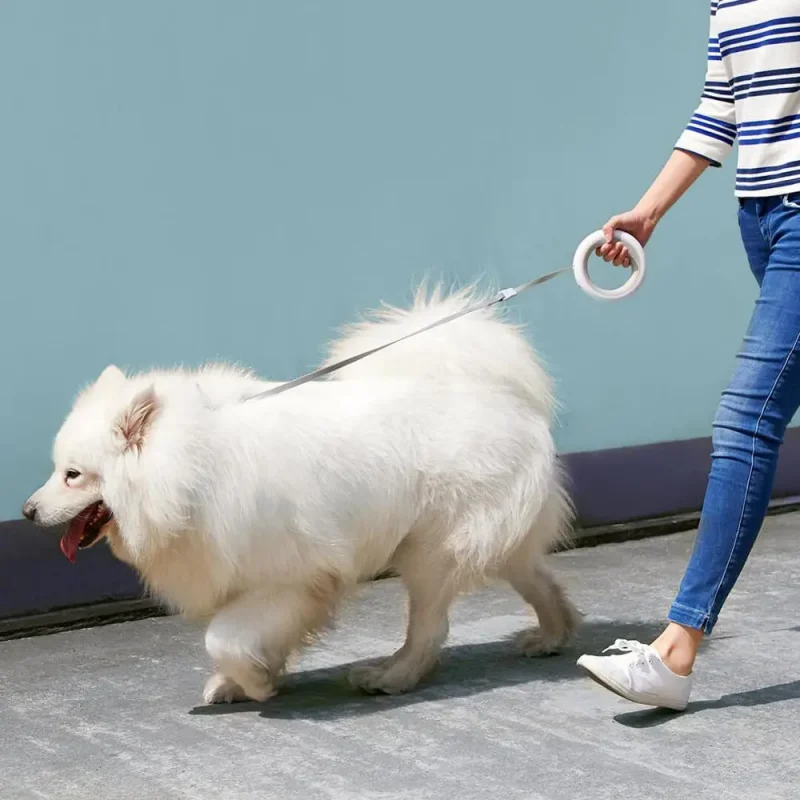 Retractable LED Leash Ring Collar - Image 5